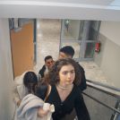 DSC00734