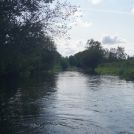 DSC00950