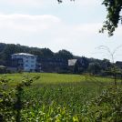 DSC01134
