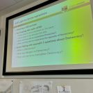 IMG 4753